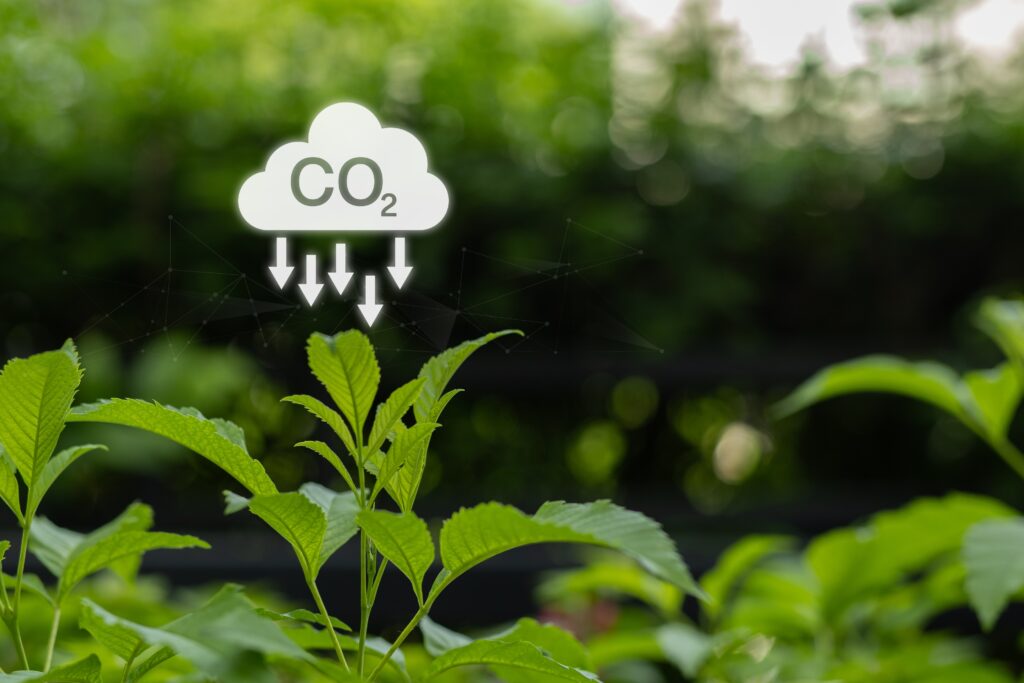 Scope3 カテゴリ一覧表（全15分類）