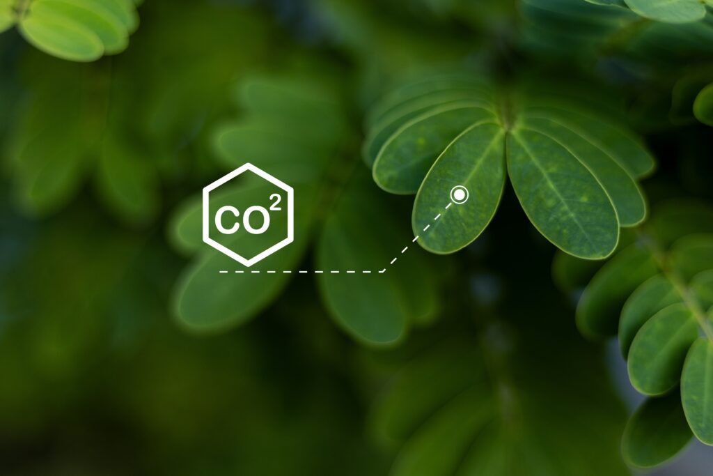 Scope1とは｜自社の「直接排出」を正しく理解する