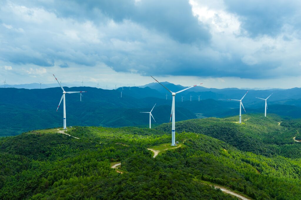 カテゴリ別・データ収集のポイント【実務担当者向け】